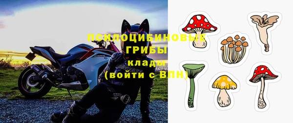 стаф Алексеевка