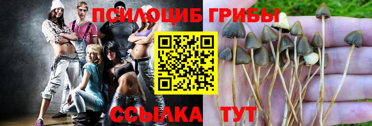 Псилоцибиновые грибы Magic Shrooms Асино
