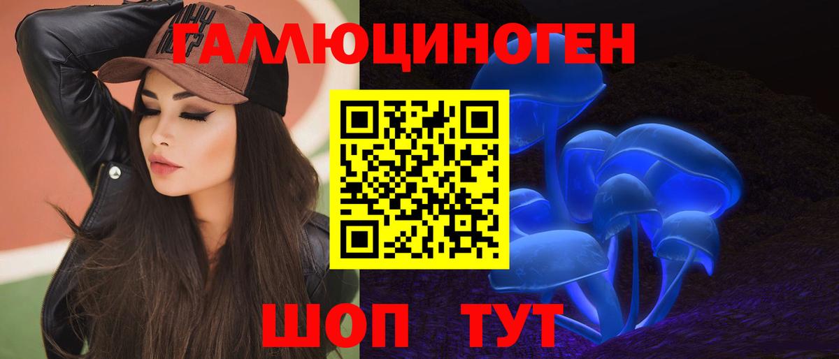 Асино  Галлюциногенные грибы прущие грибы  Вход с VPN 