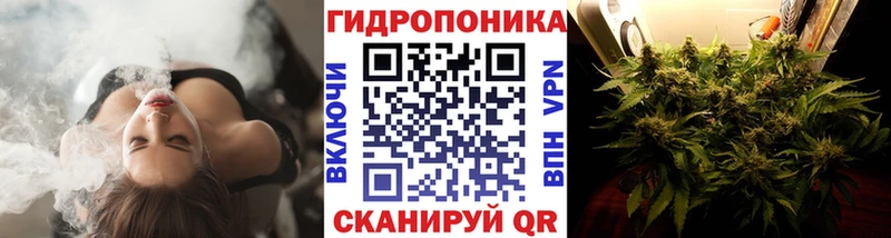Каннабис Amnesia  нарко площадка официальный сайт  Асино  где найти наркотики  KRAKEN рабочий сайт 
