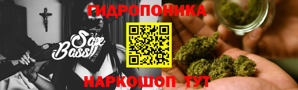 Асино  Канабис индика  Шишки марихуана VHQ  Вход с VPN  Конопля планчик 